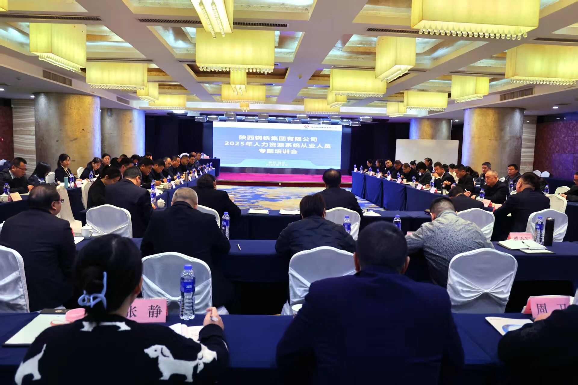陜鋼集團召開2025年人力資源工作總結會暨專題培訓會